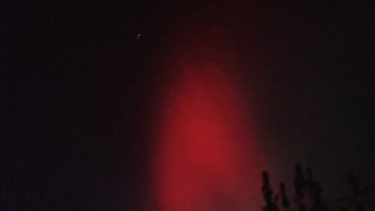 ANGELA DYNES tweet media