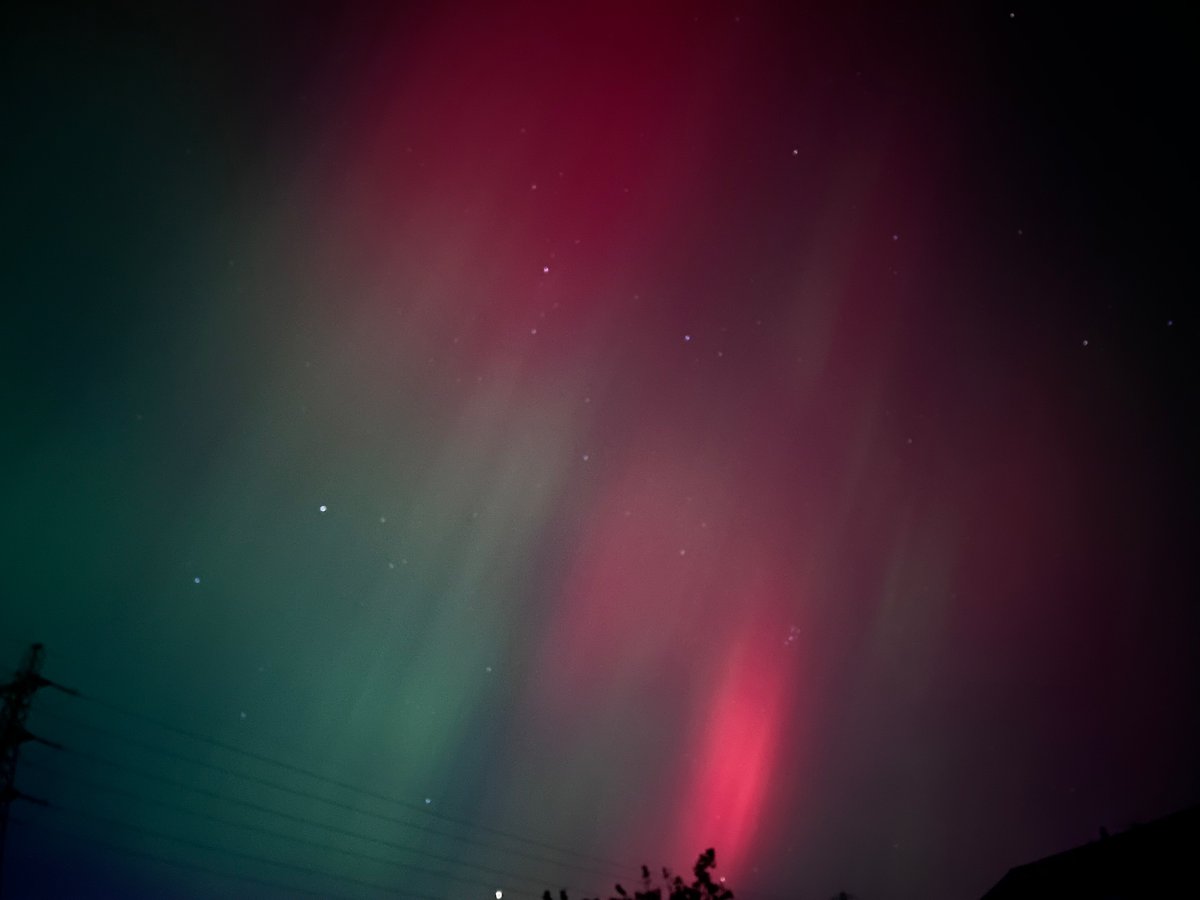 Jenny Poller tweet media