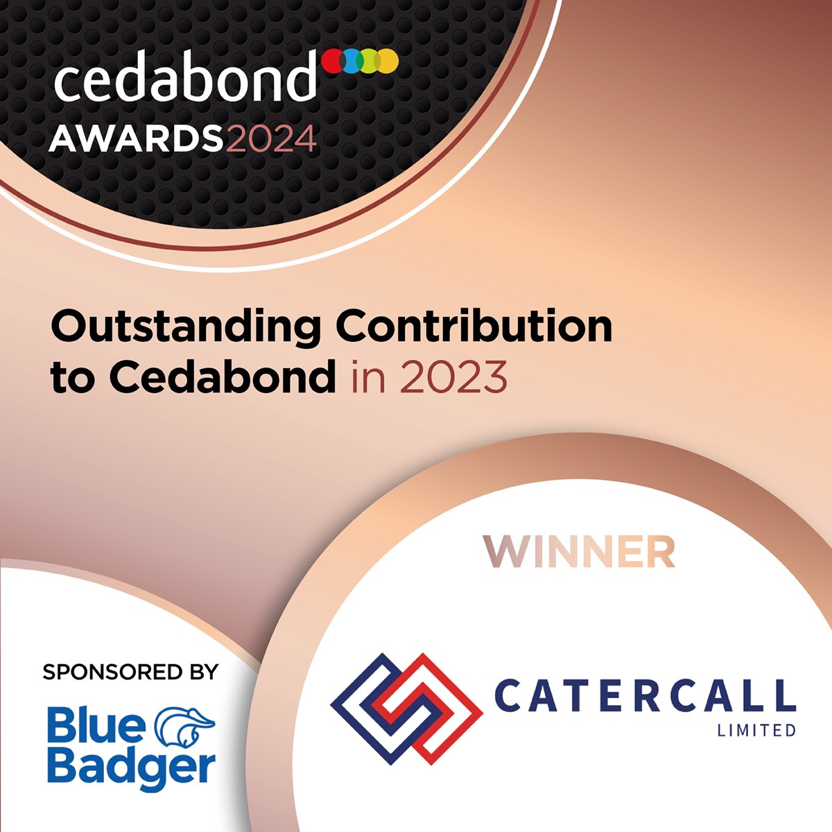 Our final award tonight is for the Outstanding Contribution to Cedabond in 2023. This award is sponsored by <a href="/BlueBadgerEquip/">Blue Badger Wholesale</a>

And our winner is.......

<a href="/Catercalluk/">Catercall</a> 🥂

Brilliant work!

#cedabondshowcase24
