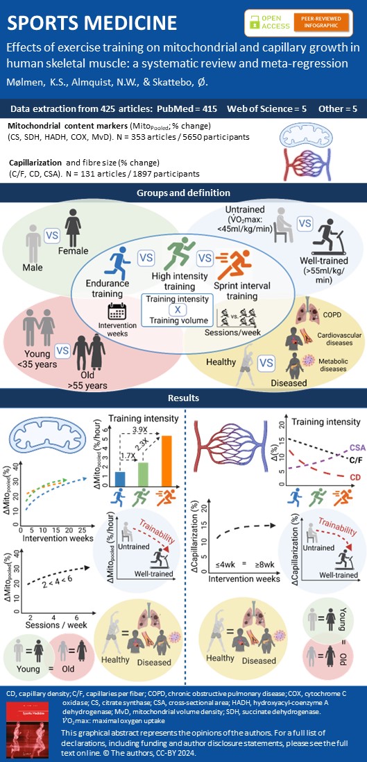 Knut Sindre Mølmen (@mrmoelmen) on Twitter photo Happy to see that our comprehensive meta-regression, "Effects of Exercise Training on Mitochondrial and Capillary Growth in Human Skeletal Muscle," by <a href="/Skattebo_Oyvind/">Øyvind Skattebo</a>, <a href="/AlmquistNicki/">Nicki Win(gate)field Almquist</a>, and myself, is now published in <a href="/SportsMedicineJ/">Sports Medicine</a>! 🎉more details soon! link.springer.com/article/10.100… Happy to see that our comprehensive meta-regression, "Effects of Exercise Training on Mitochondrial and Capillary Growth in Human Skeletal Muscle," by <a href="/Skattebo_Oyvind/">Øyvind Skattebo</a>, <a href="/AlmquistNicki/">Nicki Win(gate)field Almquist</a>, and myself, is now published in <a href="/SportsMedicineJ/">Sports Medicine</a>! 🎉more details soon! link.springer.com/article/10.100…
