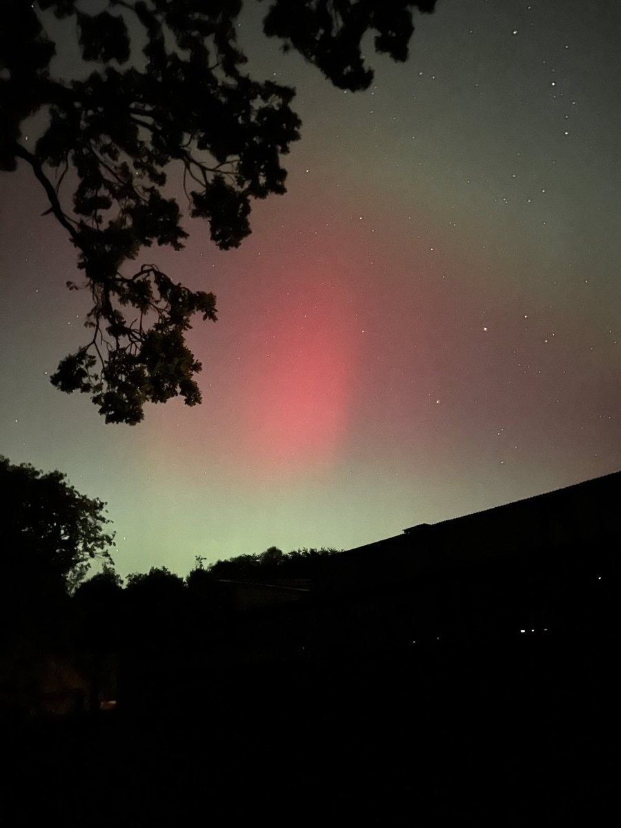 Jamie Walsh (@jamiewa08068254) on Twitter photo 