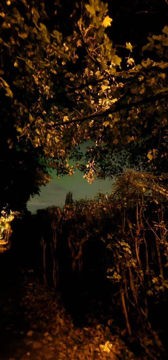 tiny2100's tweet image. In staffford 20 mins ago so happy
#northernlights #Auroraborealis