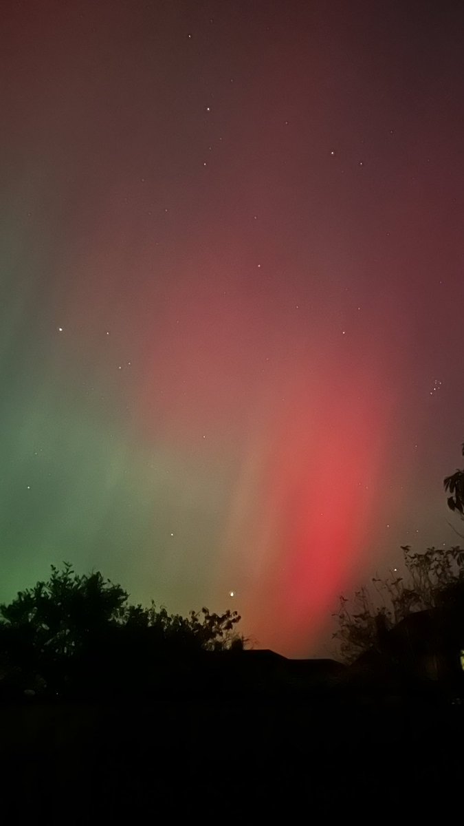 Sometimes we just need to appreciate the beauty of nature in a rare treat, from the comfort of the back garden #northernlights #whitleybay  #ChronicleLive
