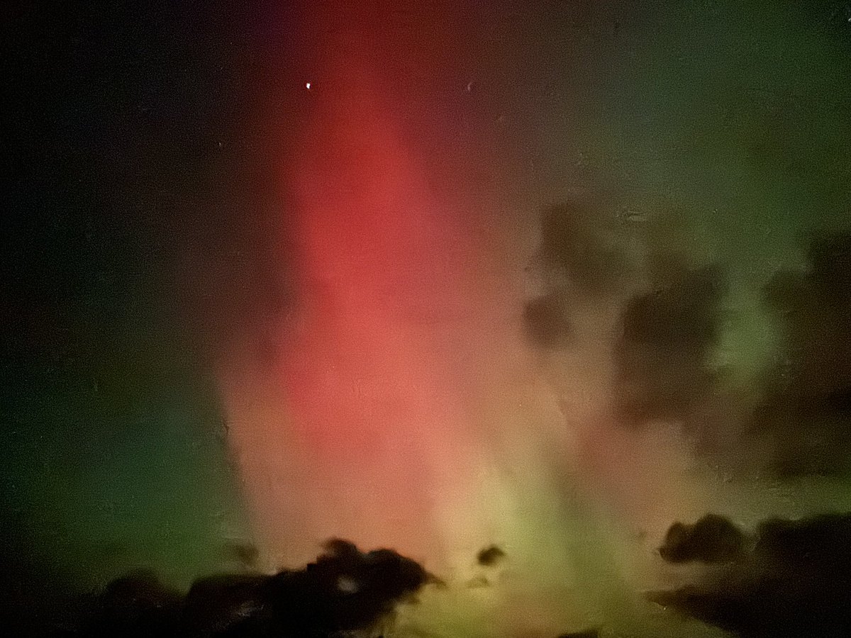 Patrick Melly tweet media