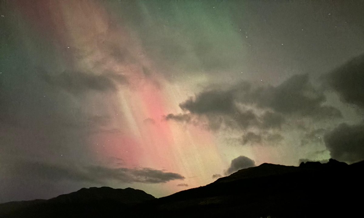 Mayrine Fraser tweet media