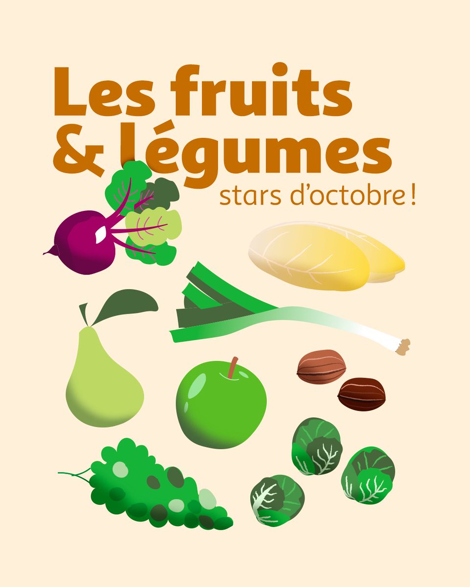 Aujourd’hui, on vous parle fruits &amp; légumes de saison 🍇🌰

Noix, endives, raisins, et choux de Bruxelles… Savourez les délices d’octobre ! C’est également le dernier mois pour profiter des raisins et des betteraves 🍇

#Auchan #Saison 
bit.ly/3zPfhie