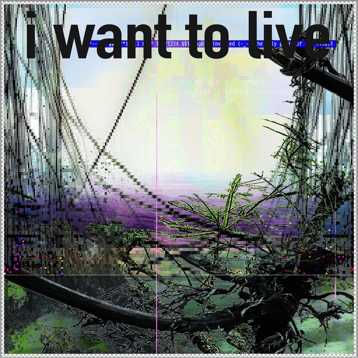 Foundation 🌐 (@foundation) on Twitter photo 