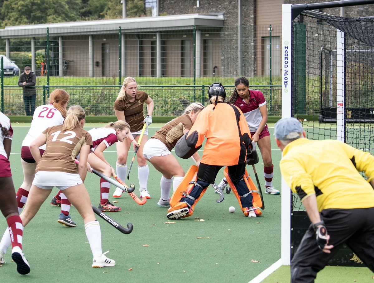 Carus House tweet media