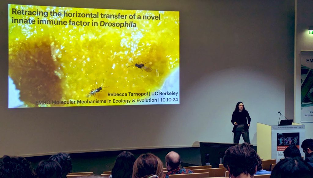 Noah Whiteman (@nkwhiteman) on Twitter photo .<a href="/PMB_Berkeley/">Berkeley Plant & Microbial Biology</a> PhD candidate <a href="/trnpl/">Rebecca Tarnopol</a> was selected to talk in the “Molecular mechanisms in evolution and ecology” <a href="/EMBO/">EMBO</a> workshop in Heidelberg! Rebecca studies a horizontally transferred gene encoding a toxin from bacteria that protects Drosophila from parasitoid wasps. Proud PI! .<a href="/PMB_Berkeley/">Berkeley Plant & Microbial Biology</a> PhD candidate <a href="/trnpl/">Rebecca Tarnopol</a> was selected to talk in the “Molecular mechanisms in evolution and ecology” <a href="/EMBO/">EMBO</a> workshop in Heidelberg! Rebecca studies a horizontally transferred gene encoding a toxin from bacteria that protects Drosophila from parasitoid wasps. Proud PI!