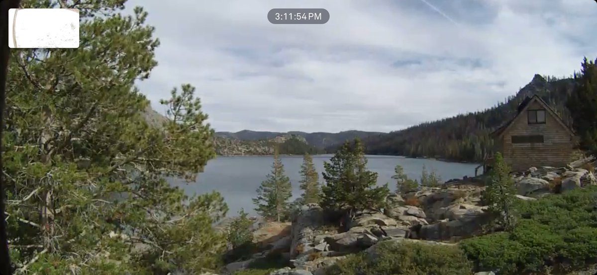 Echo Cam tweet media