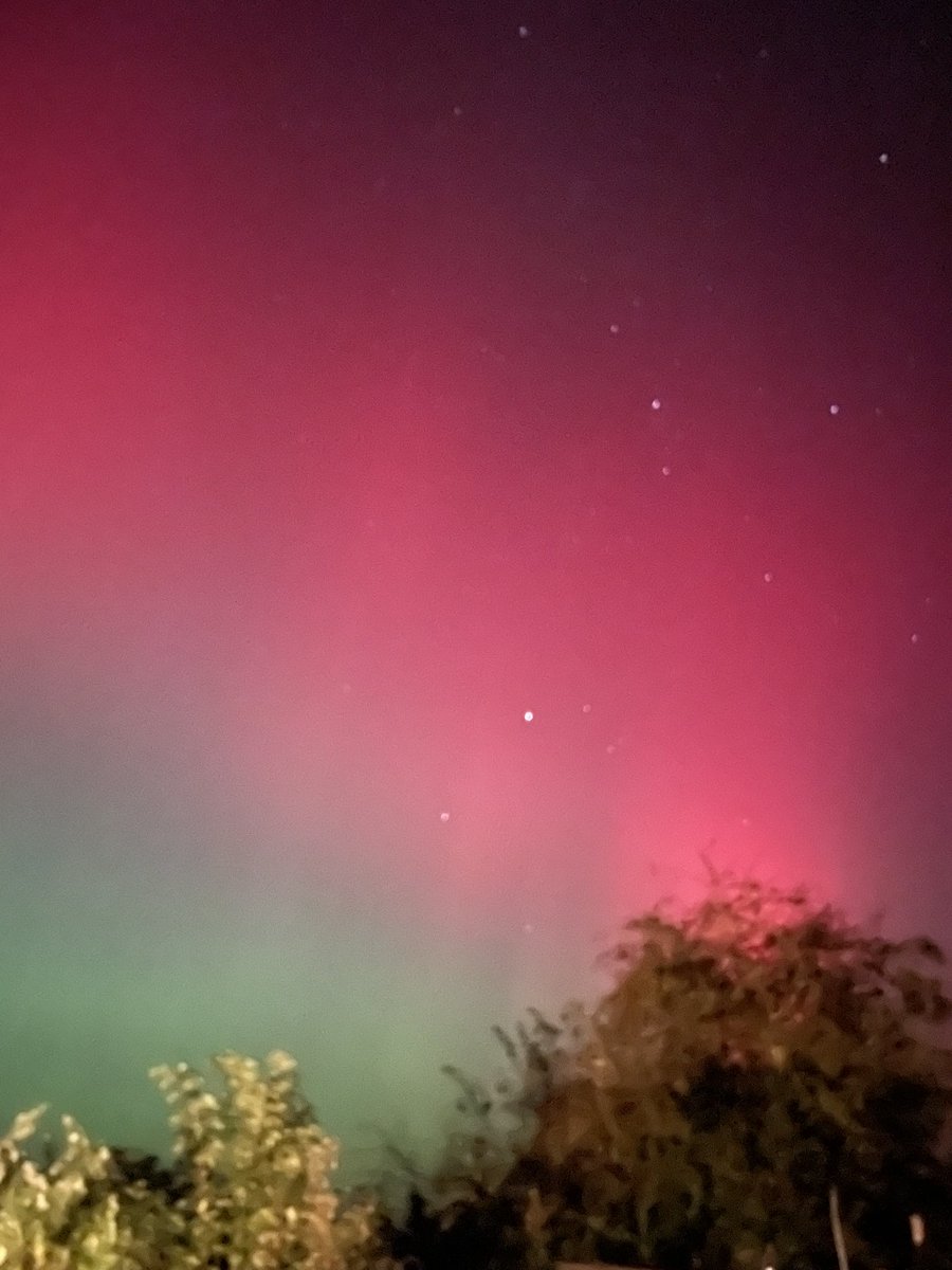 Ali Talbot tweet media