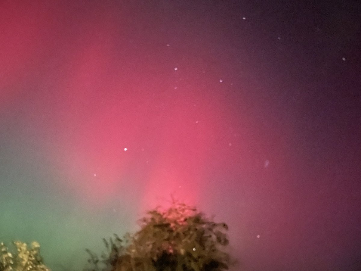 Ali Talbot tweet media