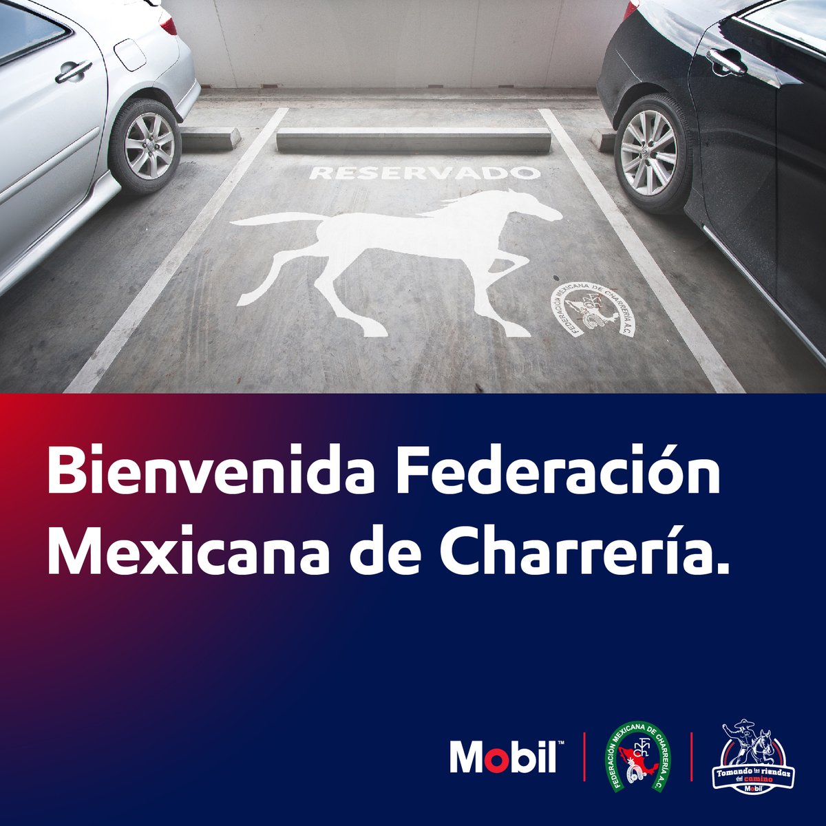 ¡Unidos por la tradición! 🐎 🇲🇽
Nos honra recibir a la <a href="/FMCharreria/">Federación Mexicana de Charrería</a> por el gran evento del Campeonato Nacional Charro 2024.
En Mobil, apoyamos nuestras raíces y la grandeza del deporte nacional.

#EligeMobil #CharreríaOrgulloDeMexico #CampeonatoNacionalCharroSLP2024