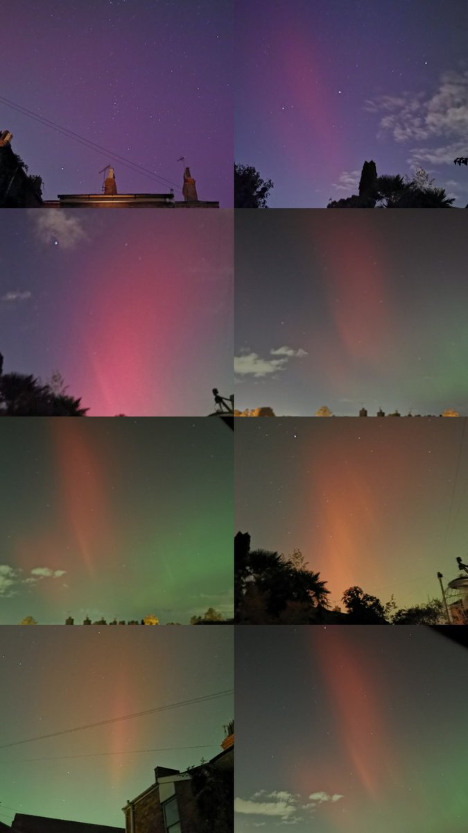 The Grunge Monkey tweet media