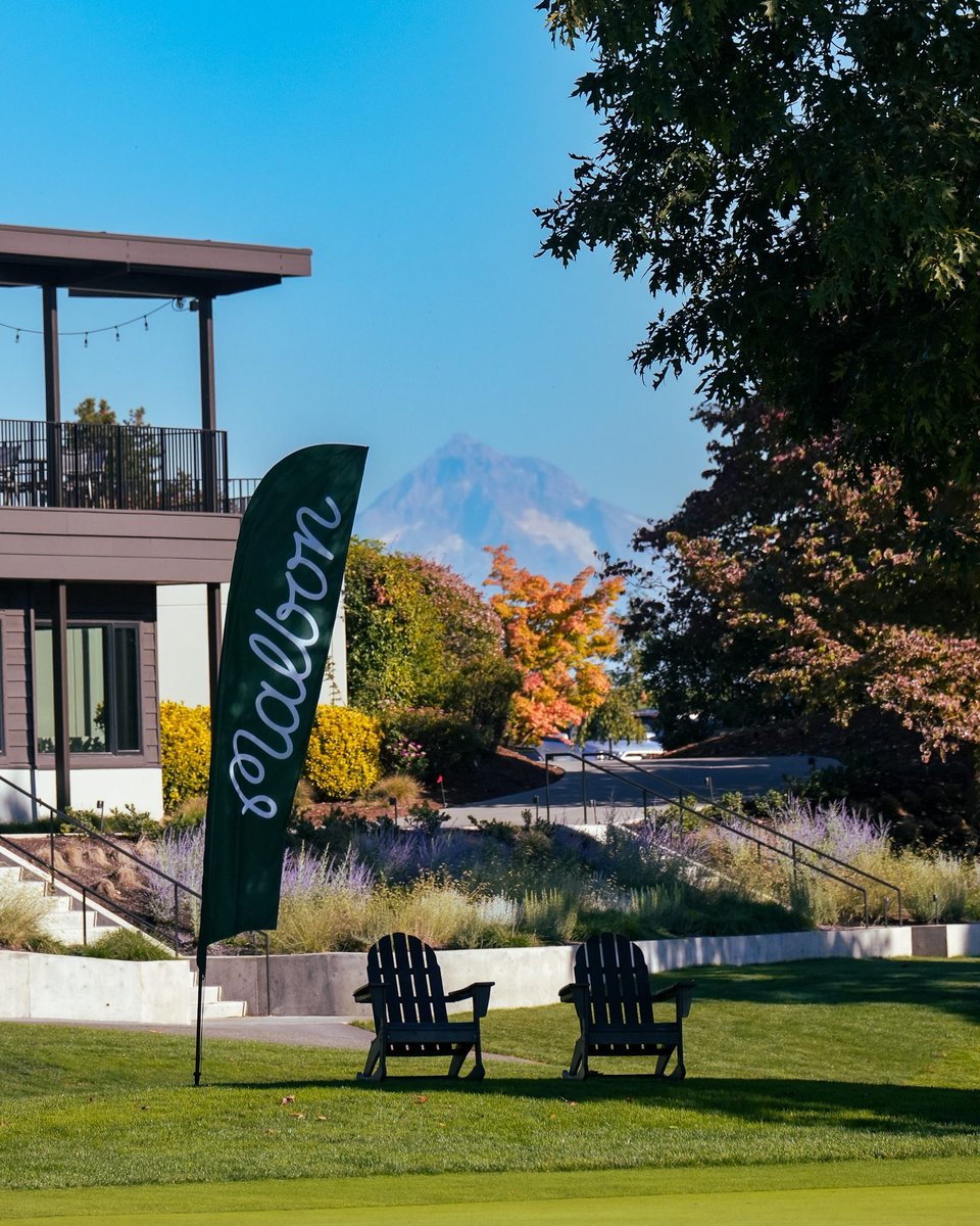 Buckets Club tweet media