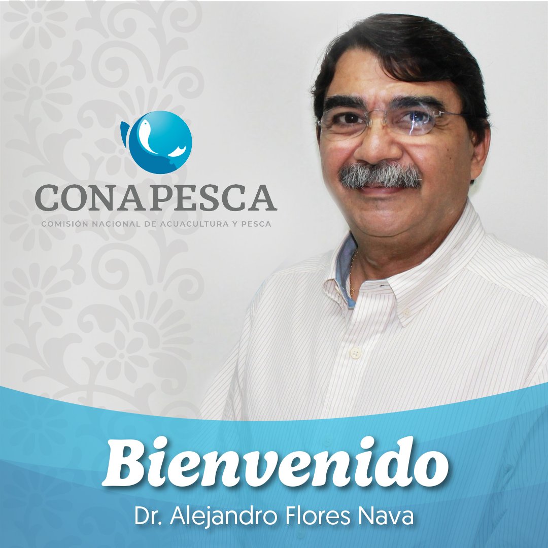 La Presidenta <a href="/Claudiashein/">Claudia Sheinbaum Pardo</a>, designó este jueves al Dr. Alejandro Flores Nava como nuevo Comisionado Nacional de Acuacultura y Pesca.

Enhorabuena Dr. Alejandro Flores Nava por su nuevo encargo, en <a href="/conapesca/">Conapesca</a> le damos la bienvenida.