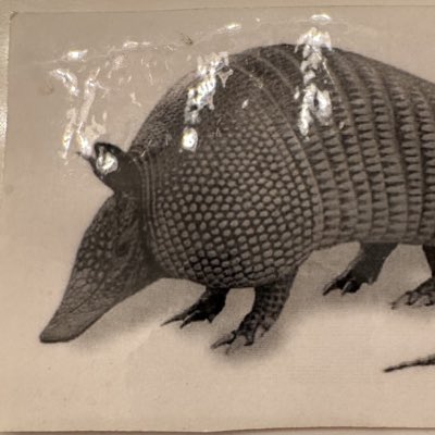 studog8's tweet image. #NewProfilePic