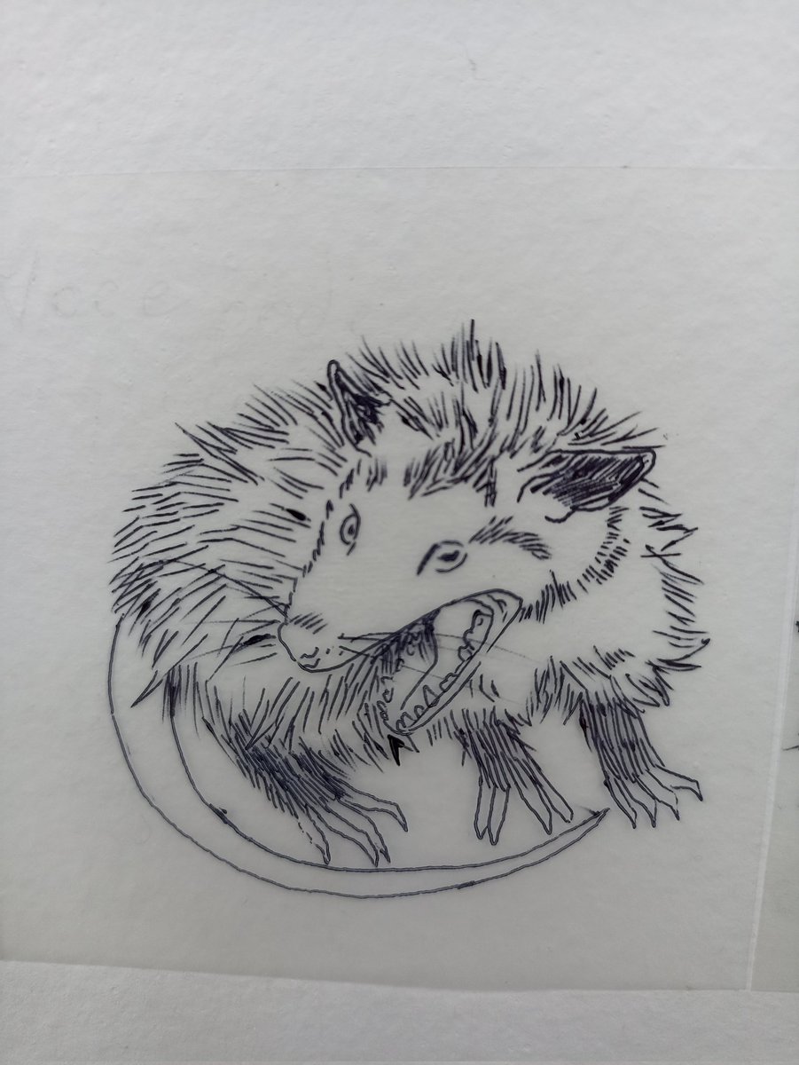 lua_lockheart's tweet photo. More furry. Sketches and processes https://t.co/BP0dgHVxQF