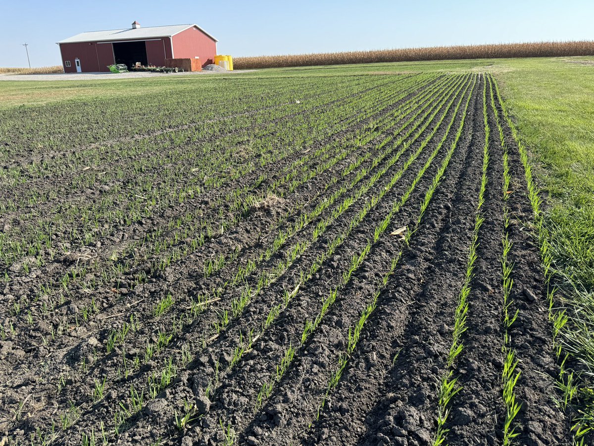 ISUField Extension Education Laboratory (@isufieldlab) on Twitter photo Soil sampling and cover crops at Field Extension Education Laboratory #soil #crops #ISUagronomy Soil sampling and cover crops at Field Extension Education Laboratory #soil #crops #ISUagronomy