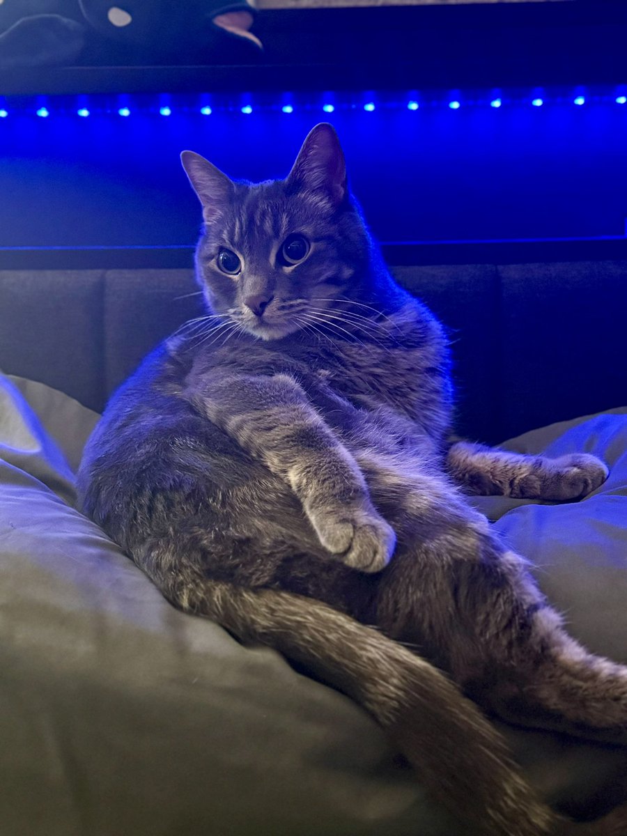 Tucker thinks he’s a model