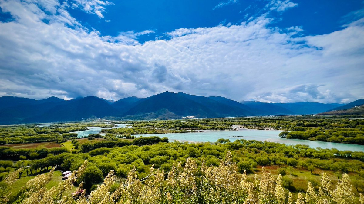 CMPunkByNature's tweet photo. Il ripristino ecologico a #Xizang incrementa i mezzi di sostentamento locali https://t.co/KMC8diePGE
