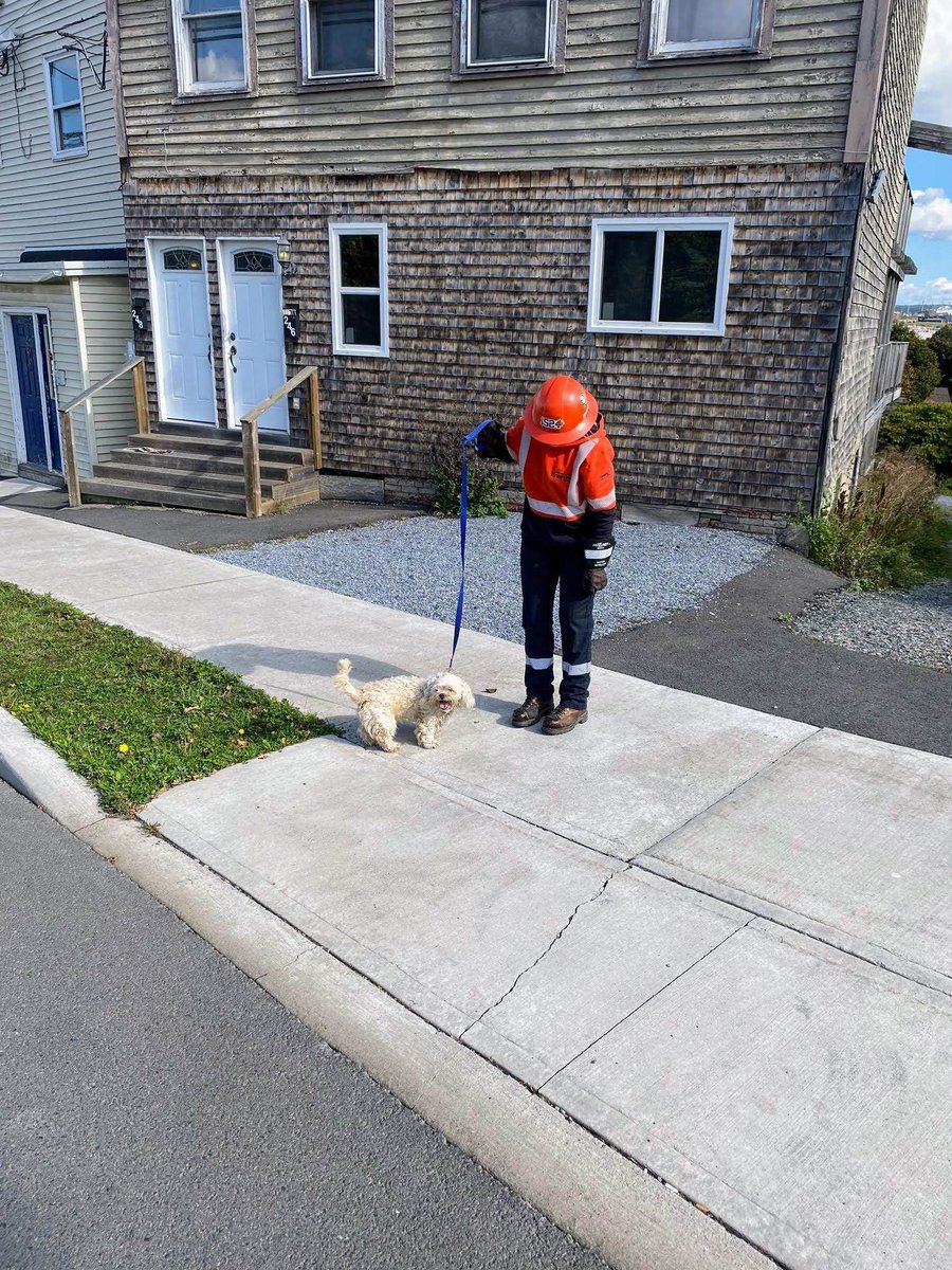 Saint John Energy (@sjenergy) on Twitter photo This sweet girl was on an adventure on Waterloo St. today! Luckily, our SJE crew found her and kept her safe until the <a href="/SPCAAR/">Saint John SPCA Animal Rescue</a> arrived. Know anyone missing a pup? Let's get her home! #LostAndFound #DogRescue This sweet girl was on an adventure on Waterloo St. today! Luckily, our SJE crew found her and kept her safe until the <a href="/SPCAAR/">Saint John SPCA Animal Rescue</a> arrived. Know anyone missing a pup? Let's get her home! #LostAndFound #DogRescue