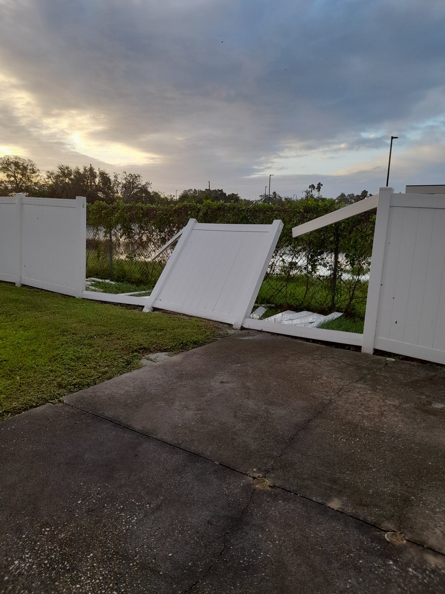 🇺🇦 🌻 Sweet Staffy Valla ❤️🐶❤️ tweet media