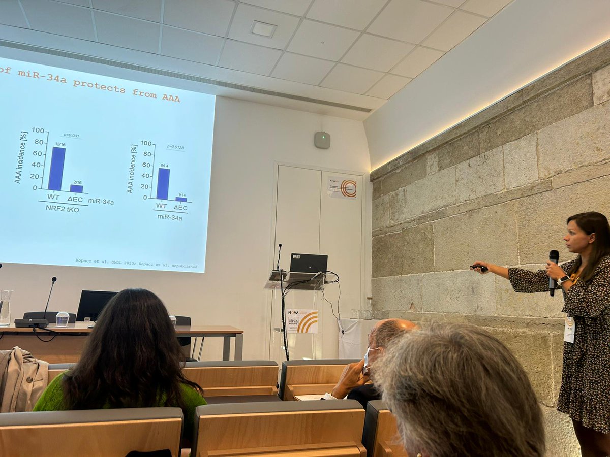 BenBedPhar tweet media