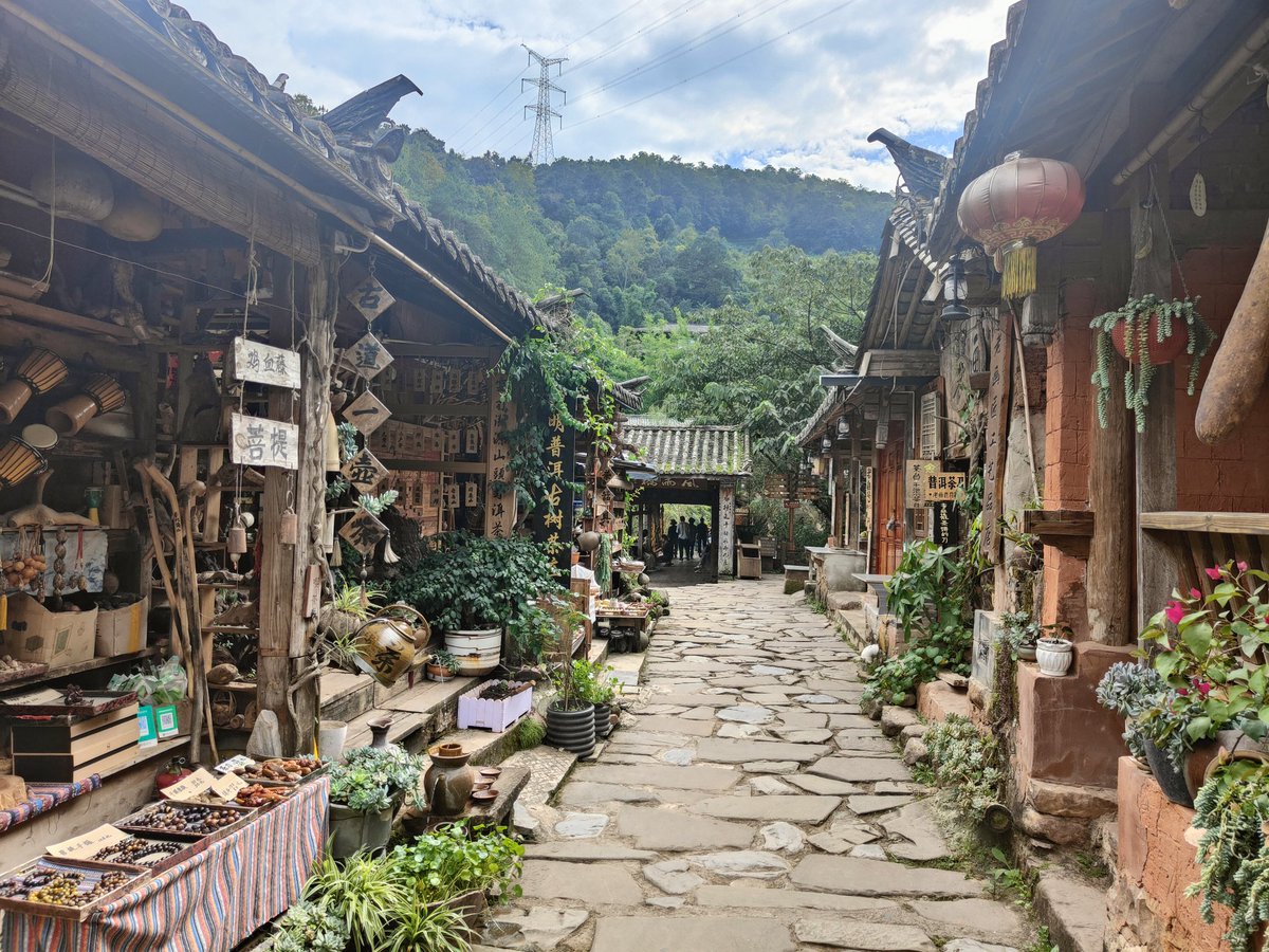 机构盘我理解认为可以 t，