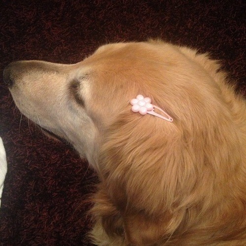 poetical photos. tweet media