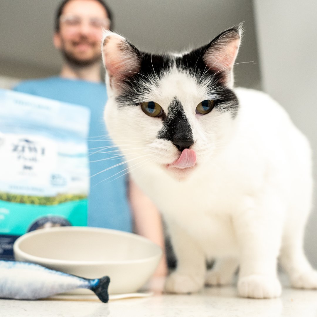 Fish oils, are rich in omega-3. Look for good quality ingredients like in ZIWI Peak Steam &amp; Dried Southern Pacific Fish recipe for cats. This can help improve...
✅ Neurological Development &amp; Visual Function
✅ Kidney Function
✅ Cardiovascular Health
✅ Skin &amp; Coat Health