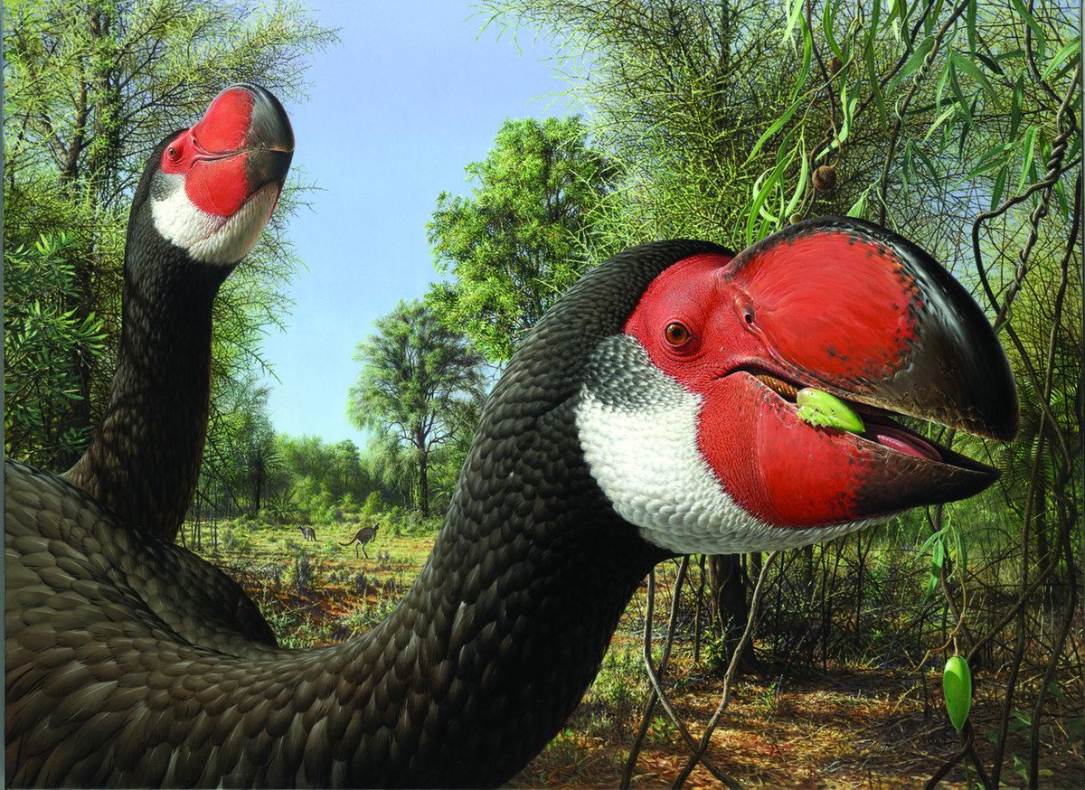 Samantha Josephine Stockings tweet media