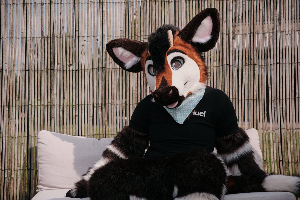 Come join! Lets sit in the sun ☀️ #fursuitfriday
📸 - @DarkModeTiger