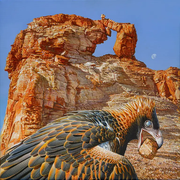 Samantha Josephine Stockings tweet media