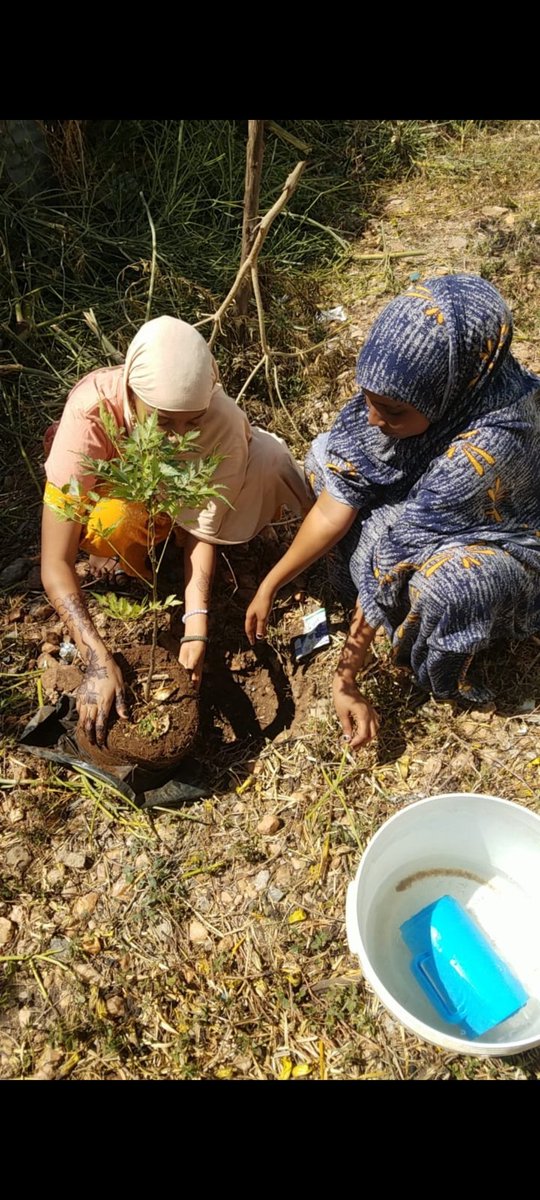 CboWaso's tweet photo. Today, Our organization came together at Masjidul Fatma in Tullu Roba, Isiolo County to celebrate by planting numerous trees and nurturing the environment.This initiative strengthens our commitment to combacting climate change and fostering sustainability.#MazingiraDay2024 https://t.co/2193rA2oZe
