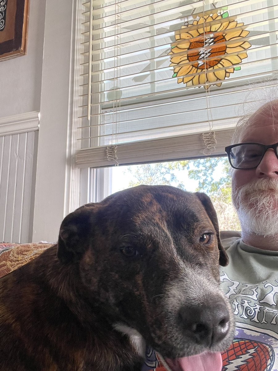 Please say hello to a new member of the family. My brother in law and his family have trusted me with Tupac. He is almost 2 (fun fact he shares a birthday with Alyssa - perfect) and just a little too much for their old dogs.