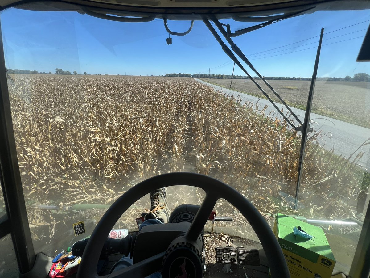 Pick corn for the first time on a piece of ground my wife and I purchased!  Pretty cool to say the least!