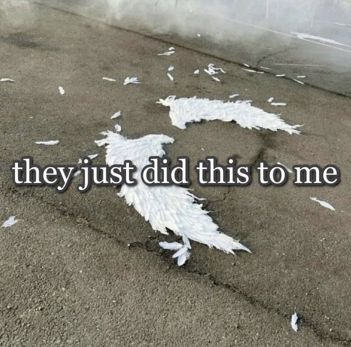 ㅤ