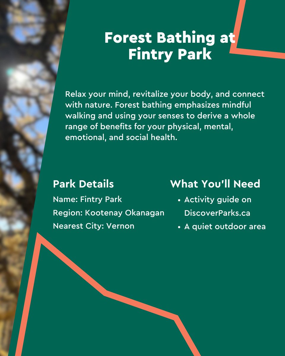 Discover Parks tweet media