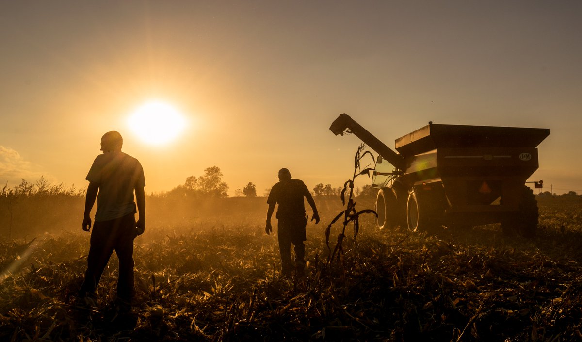 Today is #WorldMentalHealthDay. 

Working in the agriculture industry can present many unique pressures, and it can be amplified during busy seasons like harvest.

Mental health matters. Find resources if you or someone you know is struggling  → bit.ly/4hbXuTg
