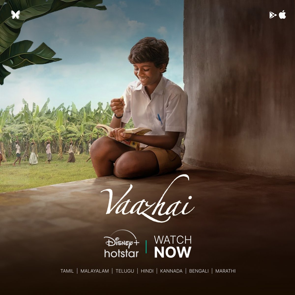 MyMovieReview1's tweet photo. #Vaazhai is now streaming on @DisneyPlusHS 

#VaazhaiOnHotstar #DisneyPlusHotstar #DisneyPlusHotstarTamil https://t.co/QZZD5kqaKo