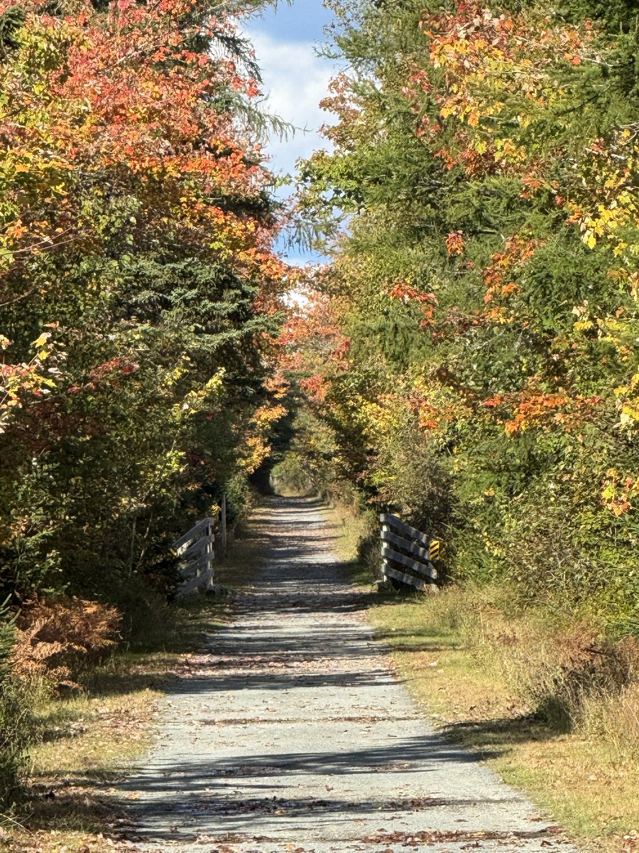 Hubble_BTerrier's tweet image. Fall is in the air. 😁🍁🍂 #NSTrails