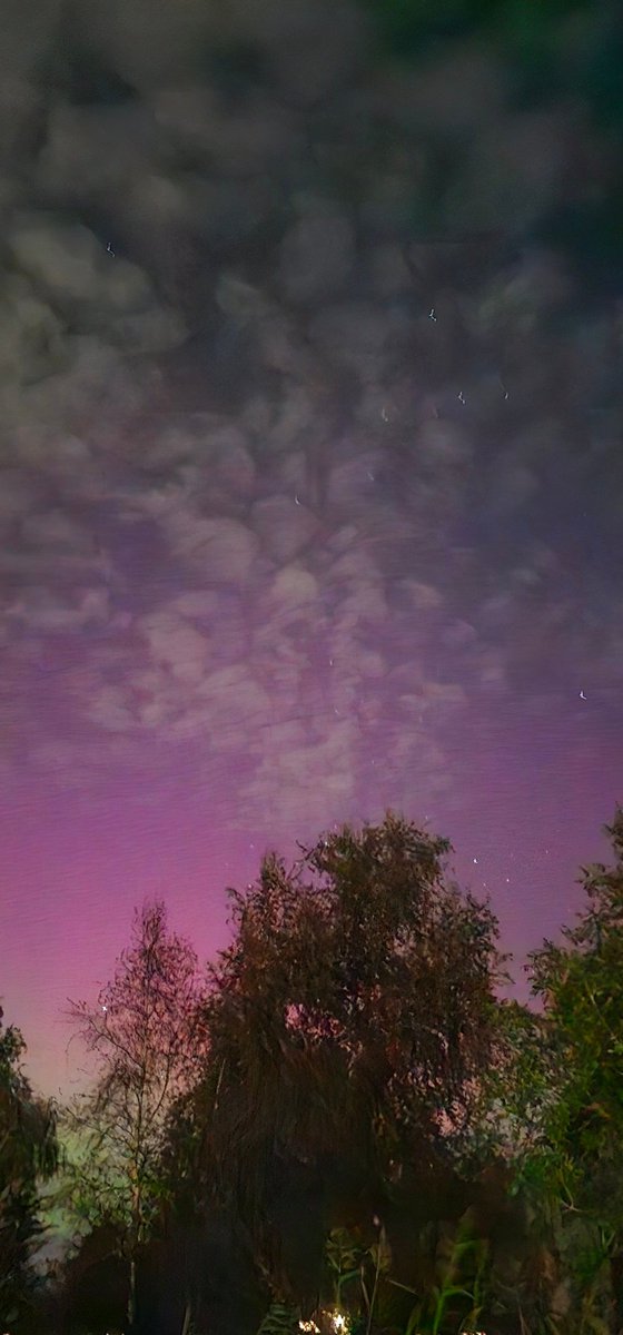 aizomamo's tweet photo. Noorderlicht, Leeuwarden. Ook vanuit de tuin was het te zien https://t.co/BjLzpTwZCB