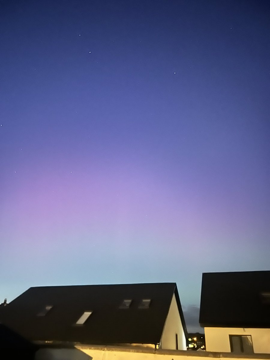 Rachel O' Sullivan tweet media