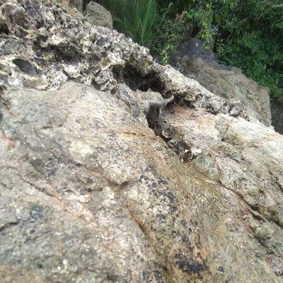 Your content exchange is a valuable resource for readers. Thank you! Your insights have enriched my life. Thank you. Zachery Swancey