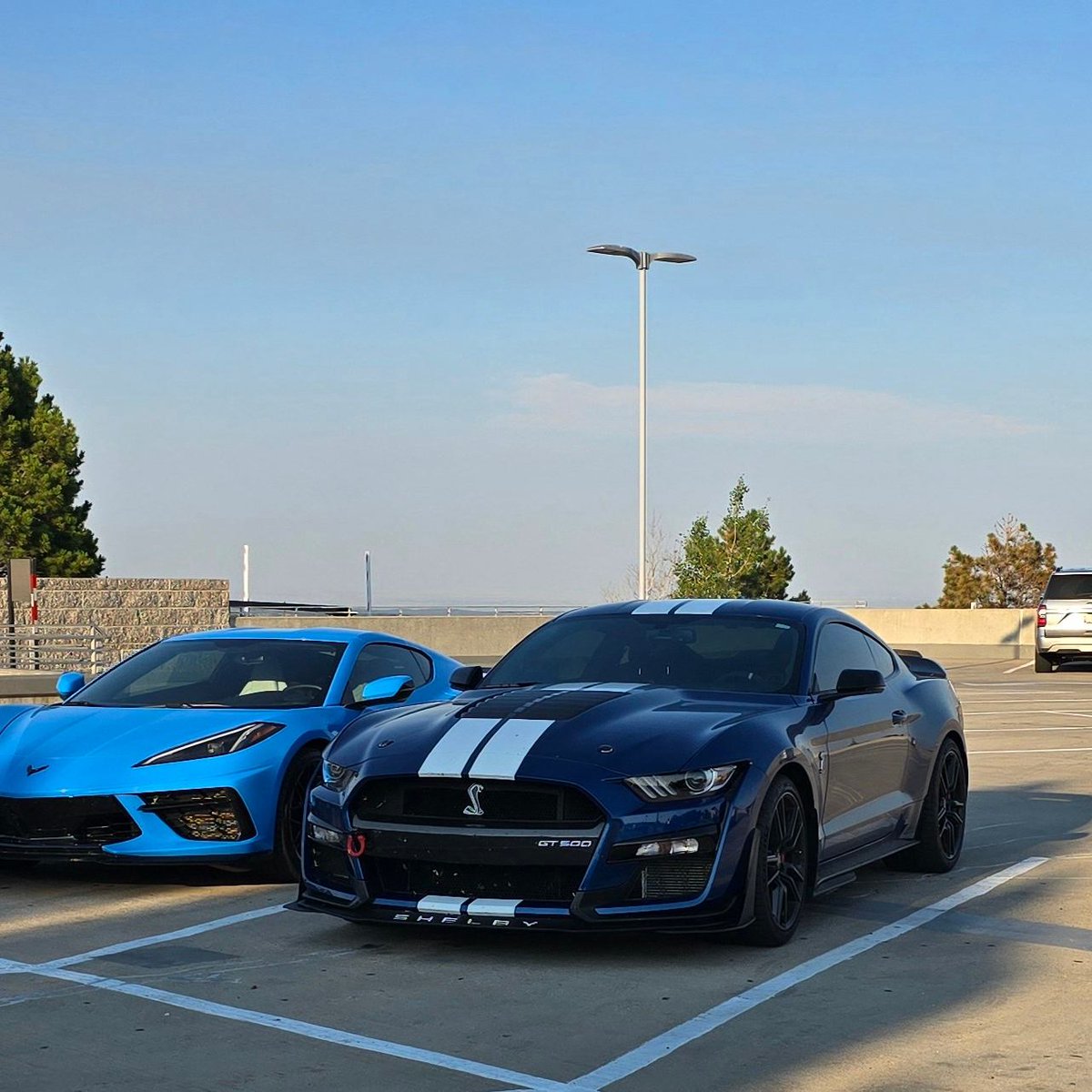 Anvil001's tweet image. Such a amazing car!  
#GT500 #Shelby #livefast