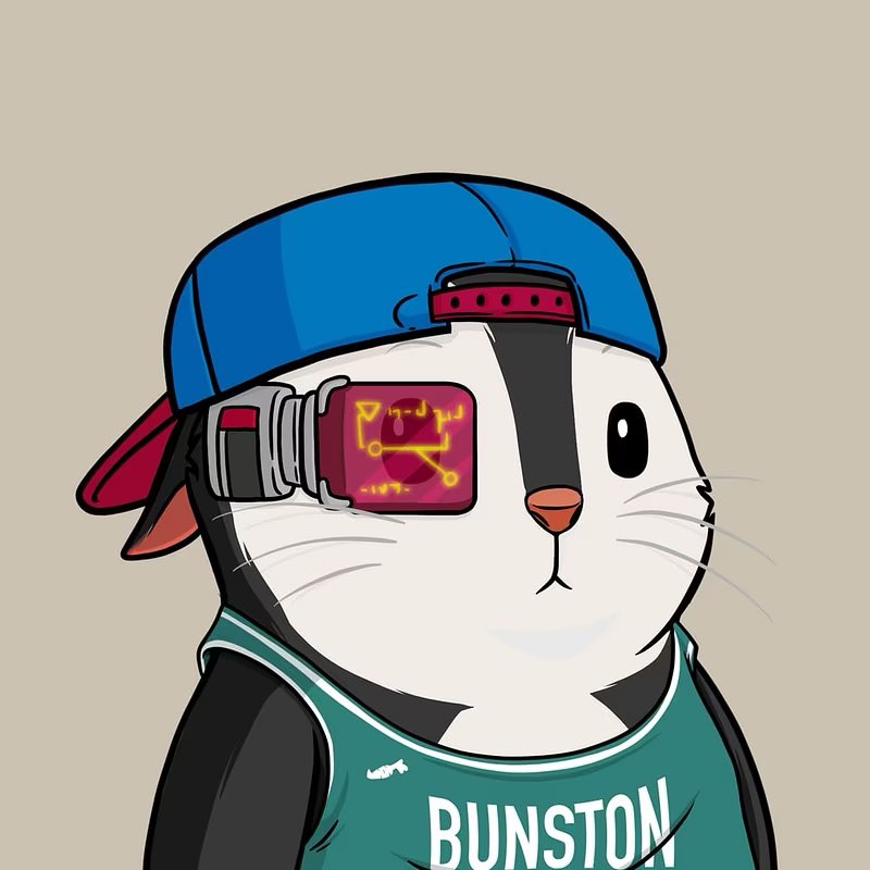 JD_RizeAndShred's tweet photo. Huge thanks to @CarlSpring for accepting a trade for these beautiful @TheBunsNFTs ❤️🐰 @TheBombBuns 💣 https://t.co/A52yWtKo8X