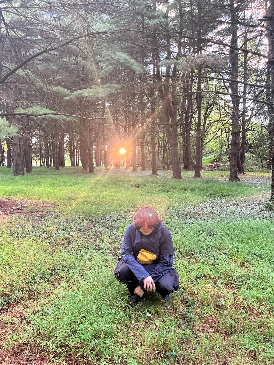 Colliding With Mars tweet media