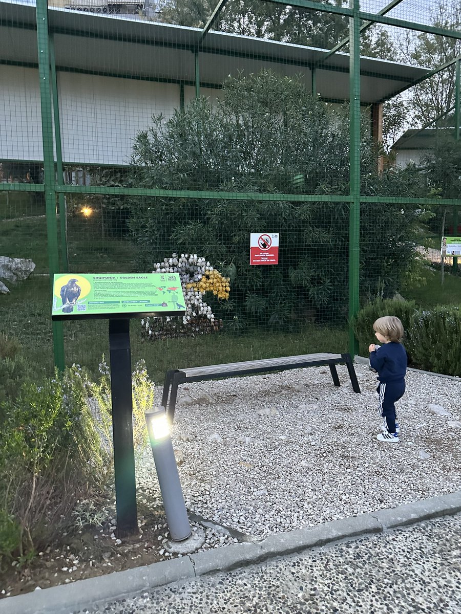 CelaAmanda's tweet photo. Liqeni Artificial dhe Kopshti Zoologjik janë “dy luftrat” e Bashkisë Tiranë për të cilat jam më krenare 🌞 https://t.co/zW2yd9gvhO