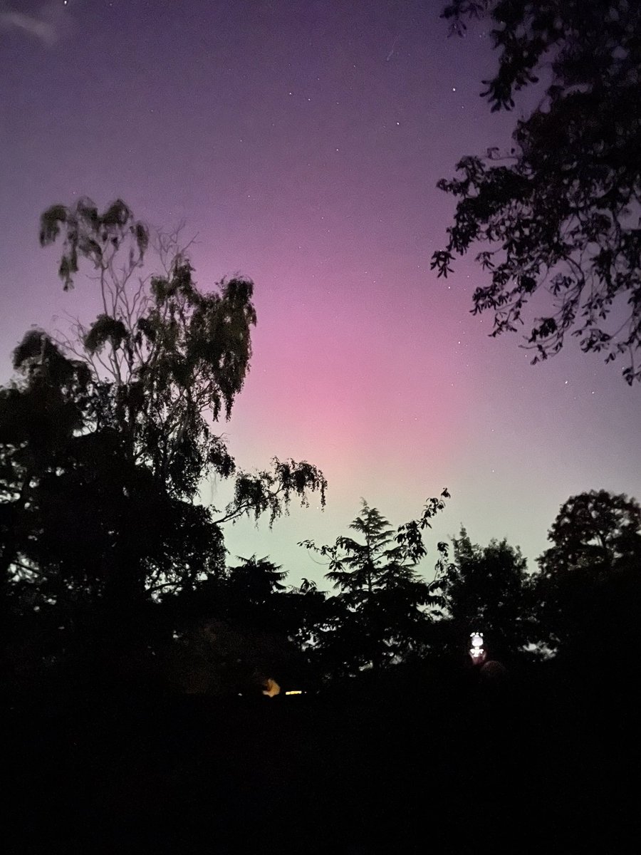 CrocodileChemist tweet media